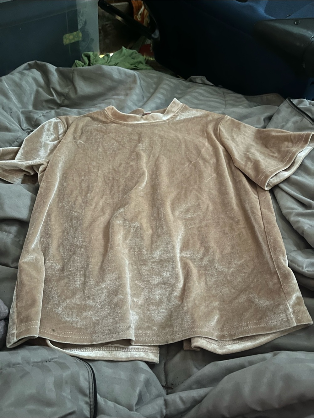 Moda Kids Short-Sleeve Velvet Top in Beige